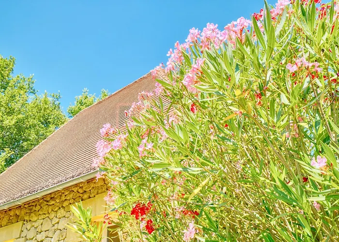 La Roulotte Rouge Casa de Férias *